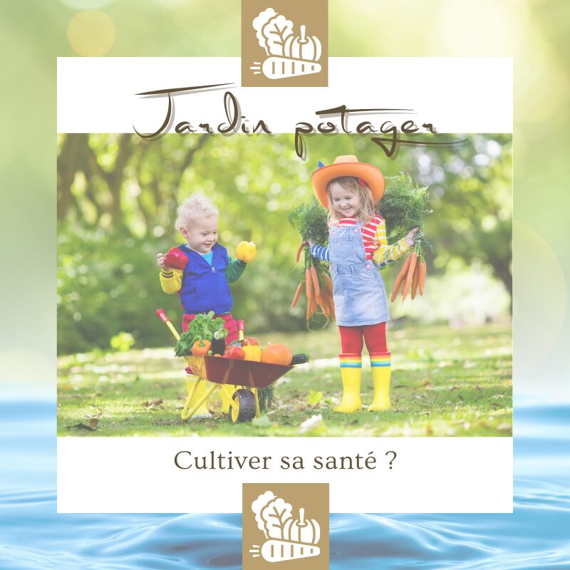 Jardin potager, fruits et légumes de saison, et santé